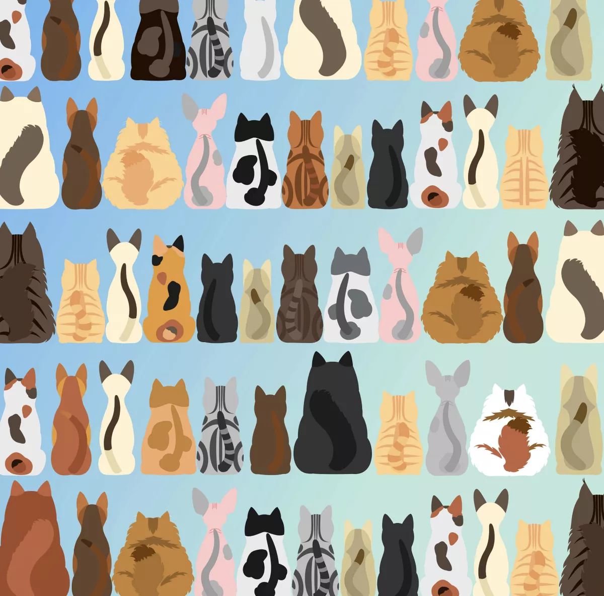 Find the cat without a tail: a puzzle for the most attentive