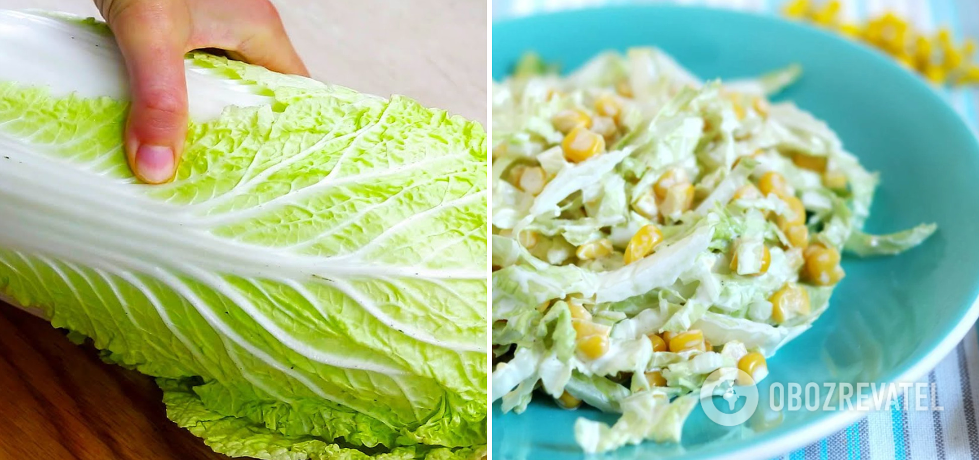 What kind of salad to cook from napa cabbage