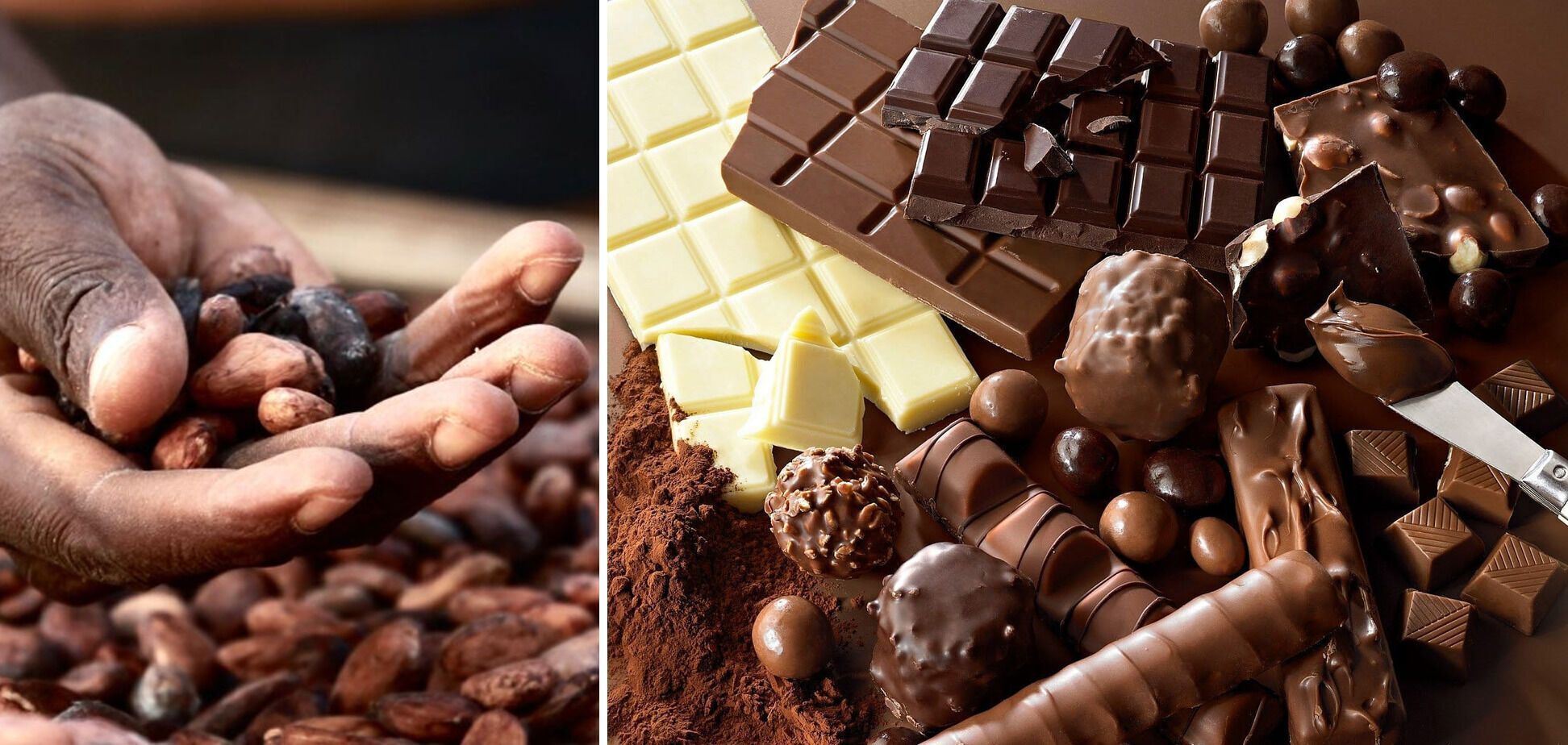 The most harmful chocolate is named: you should not eat it