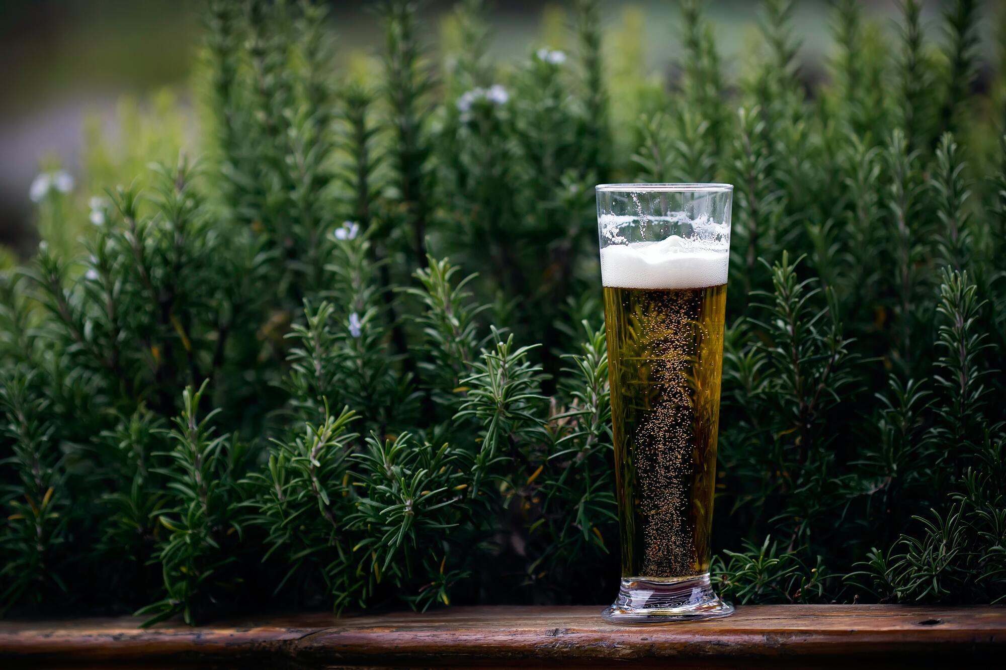 Why beer makes you want to eat