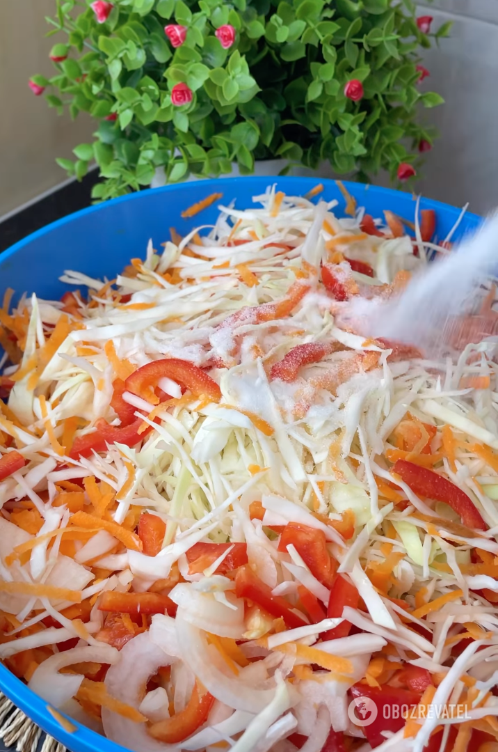 Crispy sauerkraut with sweet peppers, carrots and onions: can be eaten after 24 hours