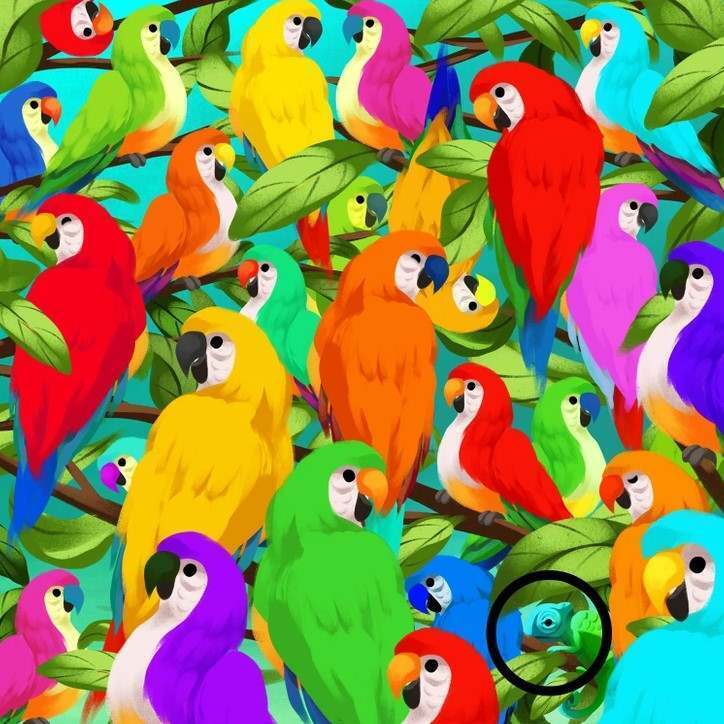 Spot the chameleon among the brightly colored parrots: only geniuses can do it in 9 seconds