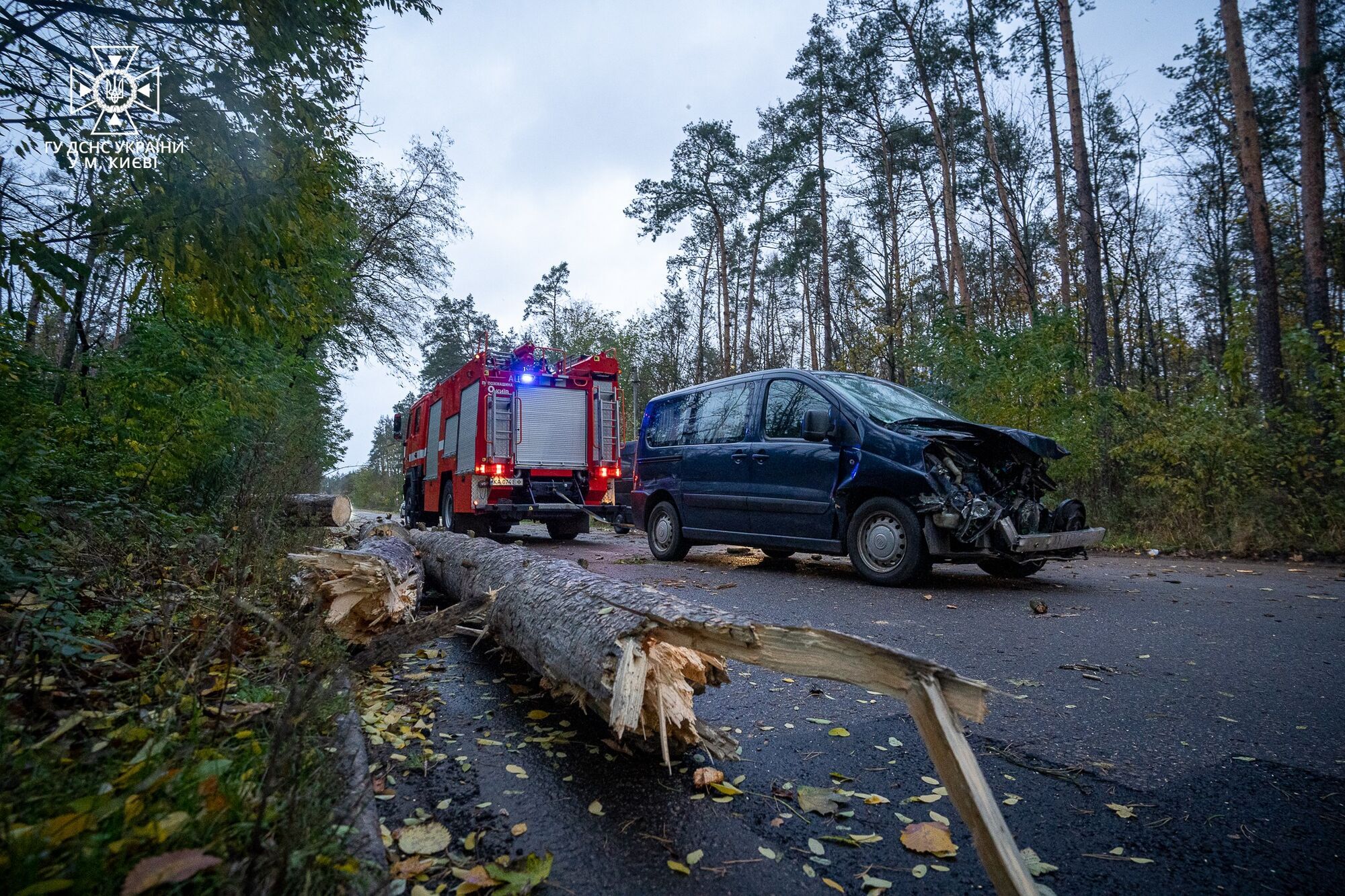 Powalone drzewa i zniszczone ogrodzenia: burzowe wiatry szaleją w Kijowie, mieszkańcy ostrzegają przed niebezpieczeństwem. Zdjęcia i wideo