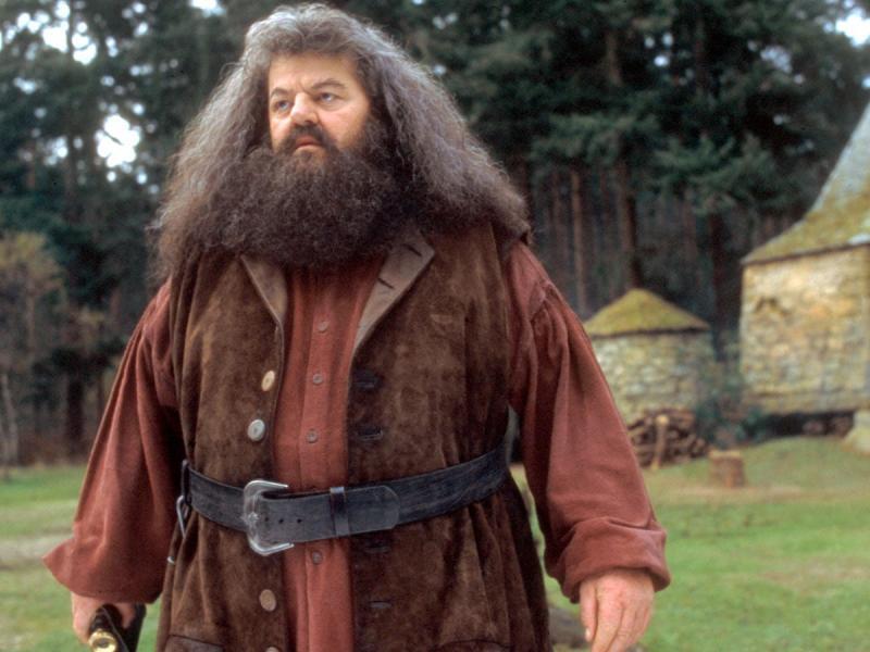 The cause of death of the actor who played Hagrid in the Harry Potter films is named
