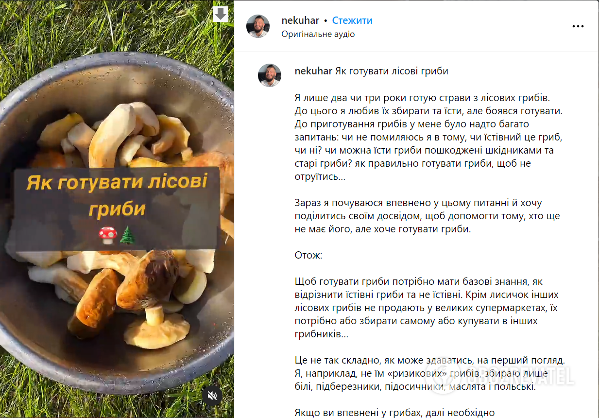 How to clean and cook wild mushrooms properly: there are several nuances