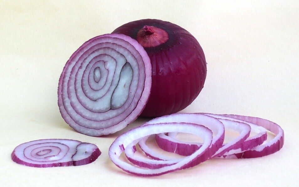 Purple onion