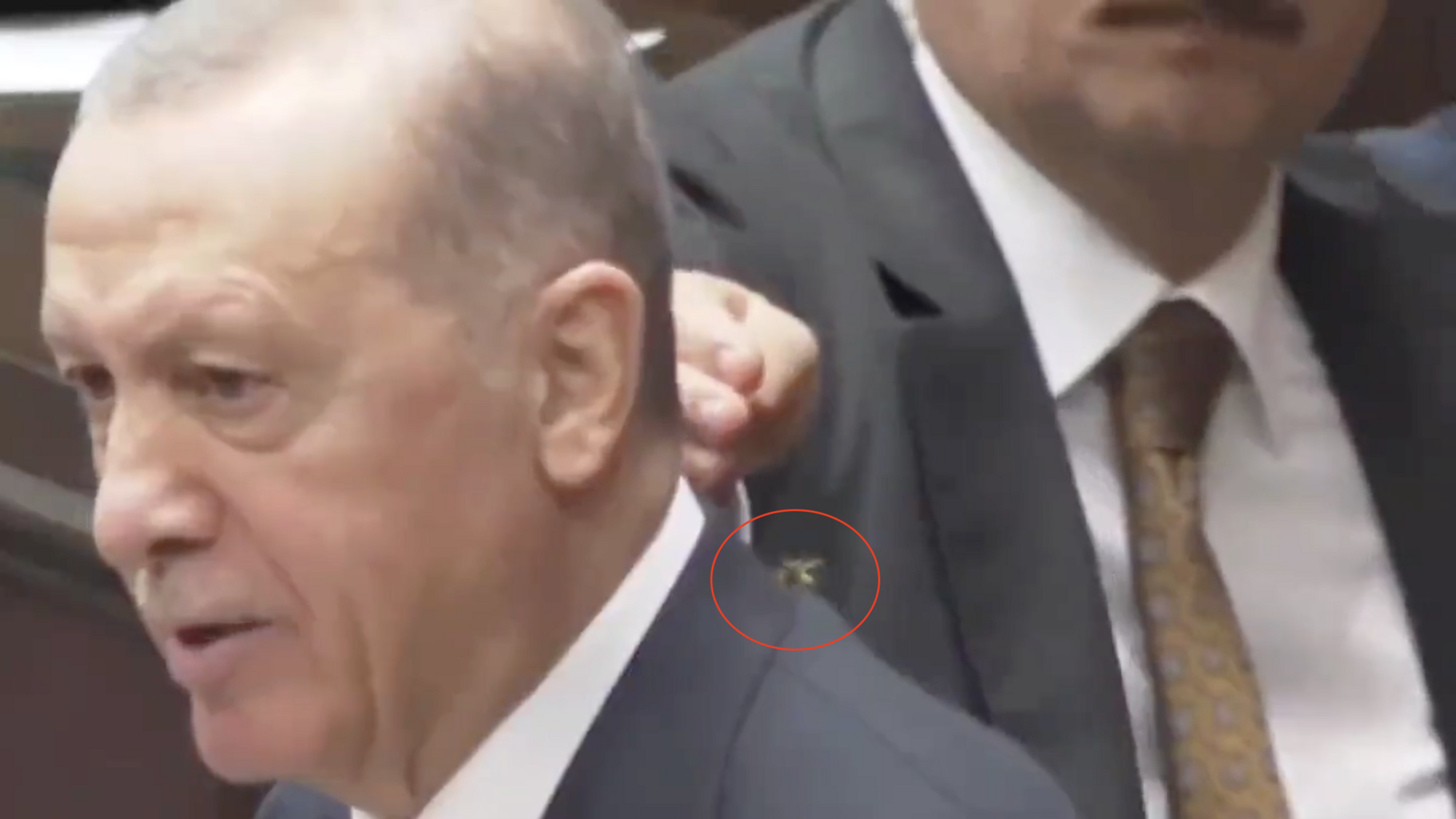 Ochroniarz Erdogana profesjonalnie wyeliminował osę, która wylądowała na ramieniu prezydenta. Wideo ciekawostka