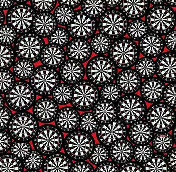 Puzzle for geniuses: find three red darts in the photo