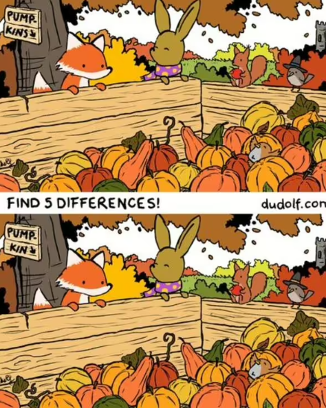 Find five differences: a puzzle for people with great eyesight