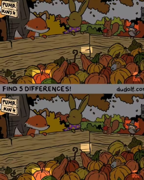 Find five differences: a puzzle for people with great eyesight