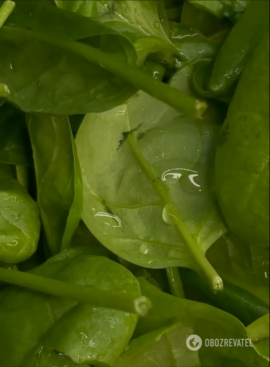 Light Wreath salad for the New Year: how to prepare this spectacular appetizer