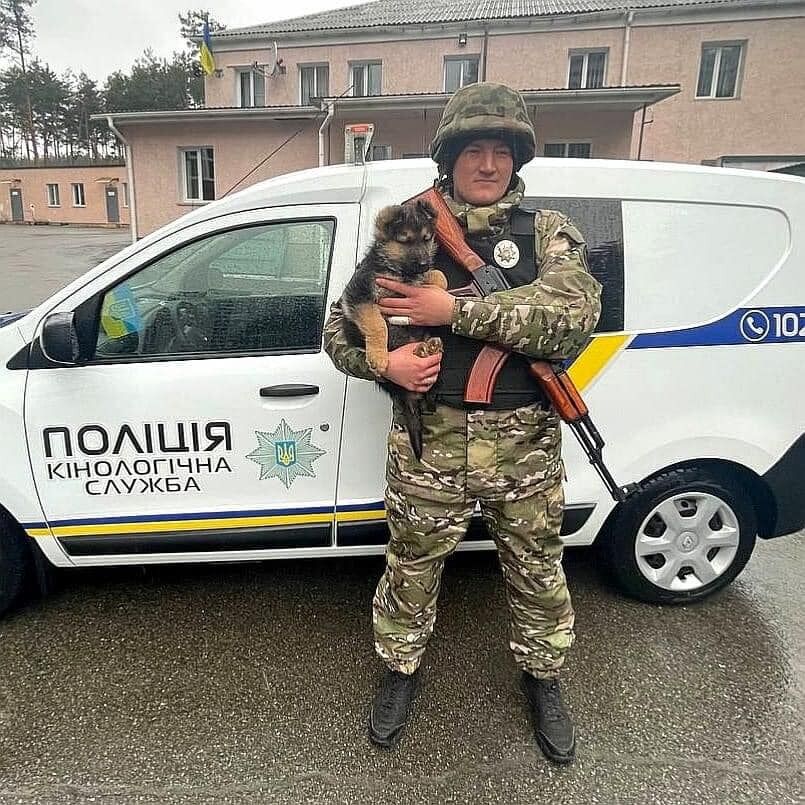 Puppy helps police officers