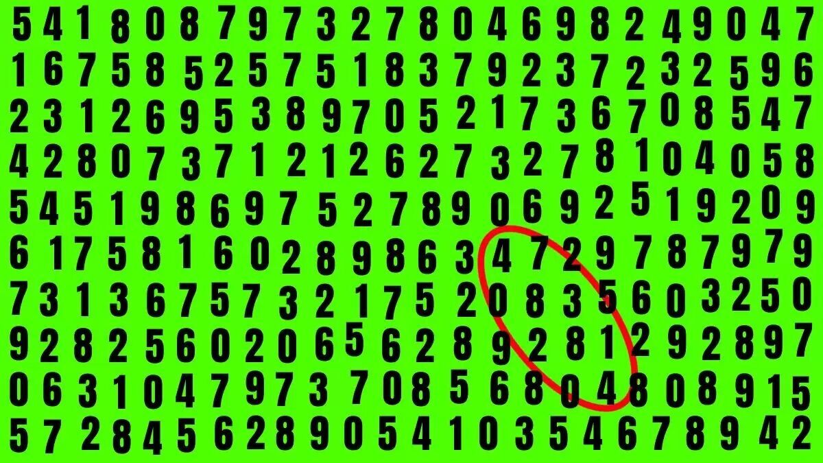 Puzzle for smart people: find a hidden number in 15 seconds