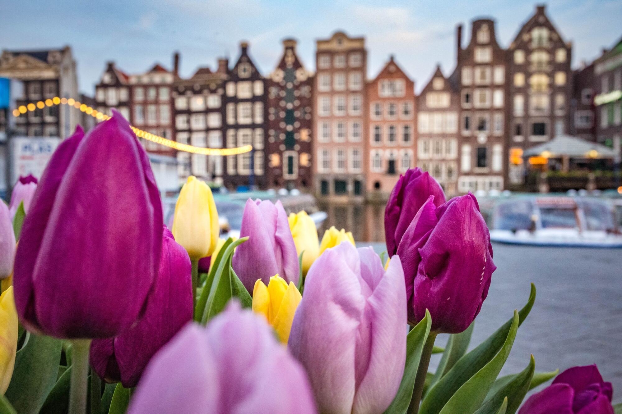Jak zaoszczędzić na wycieczce do Amsterdamu: 6 sprawdzonych sposobów
