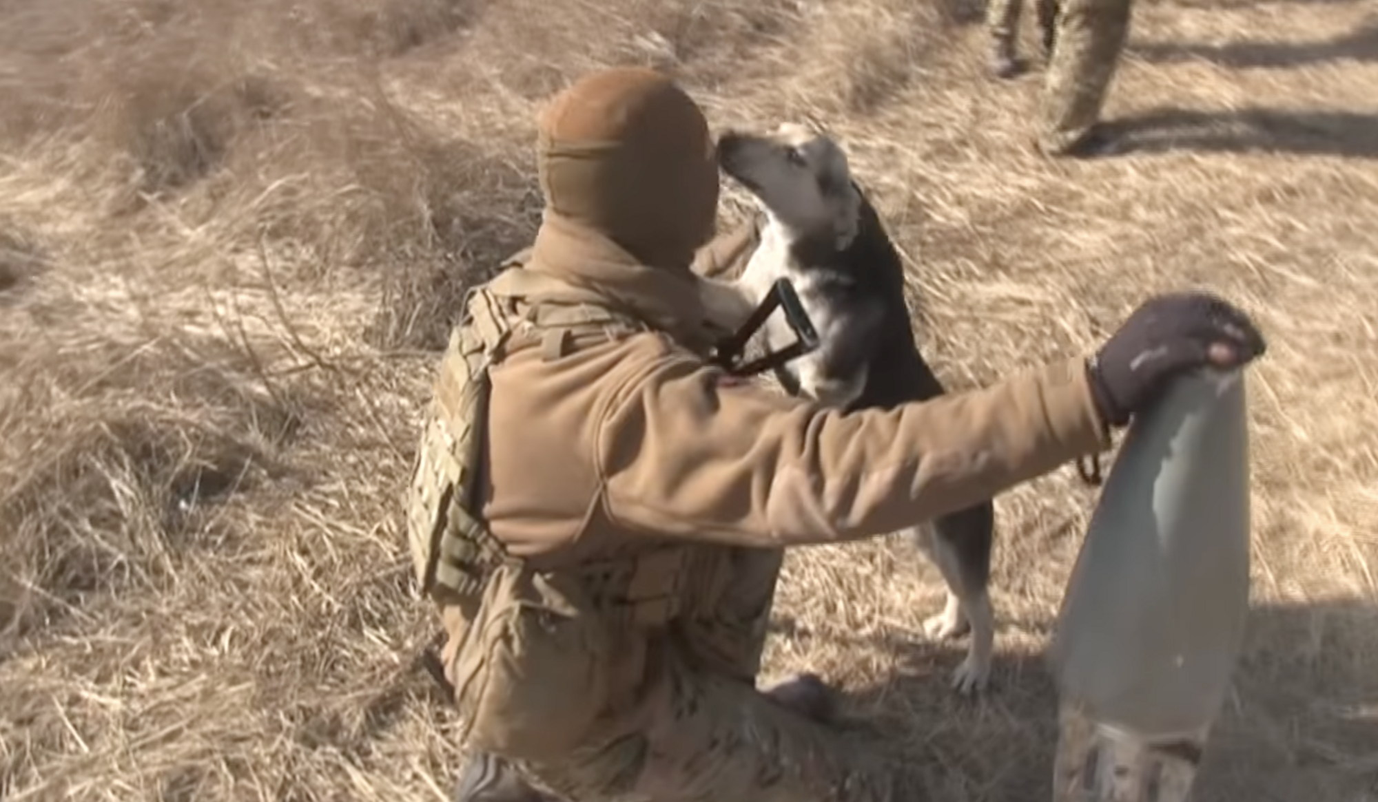 The interview was interrupted by a four-legged warrior
