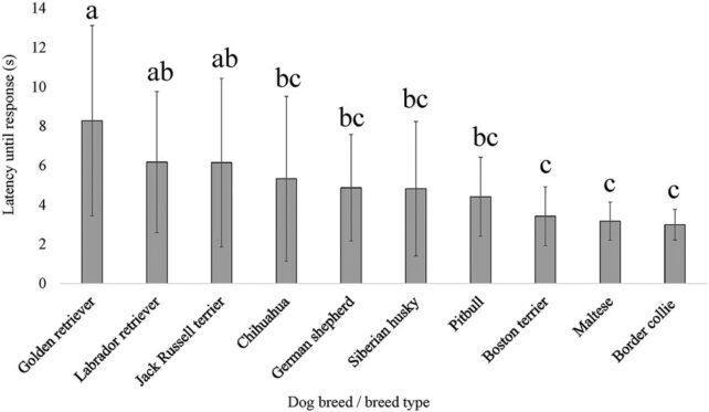 Which dogs suffer from pain the most: a list of sensitive breeds