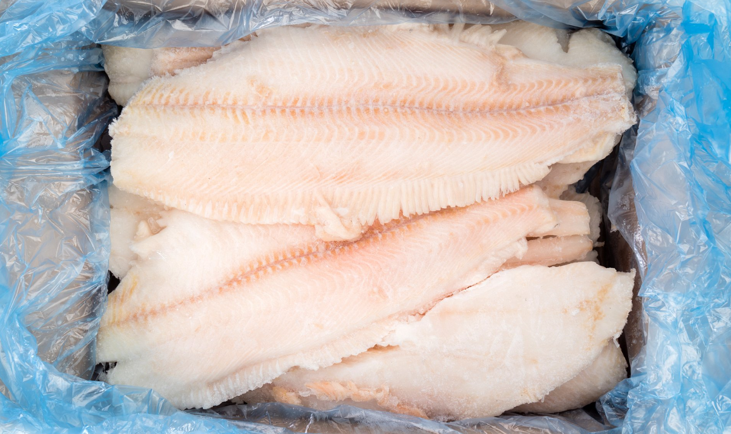 How and where to defrost fish