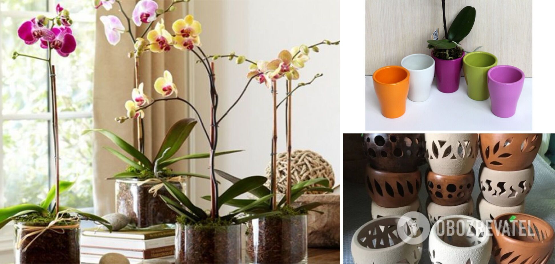 Orchid will grow faster: which pot is best to choose for the flower