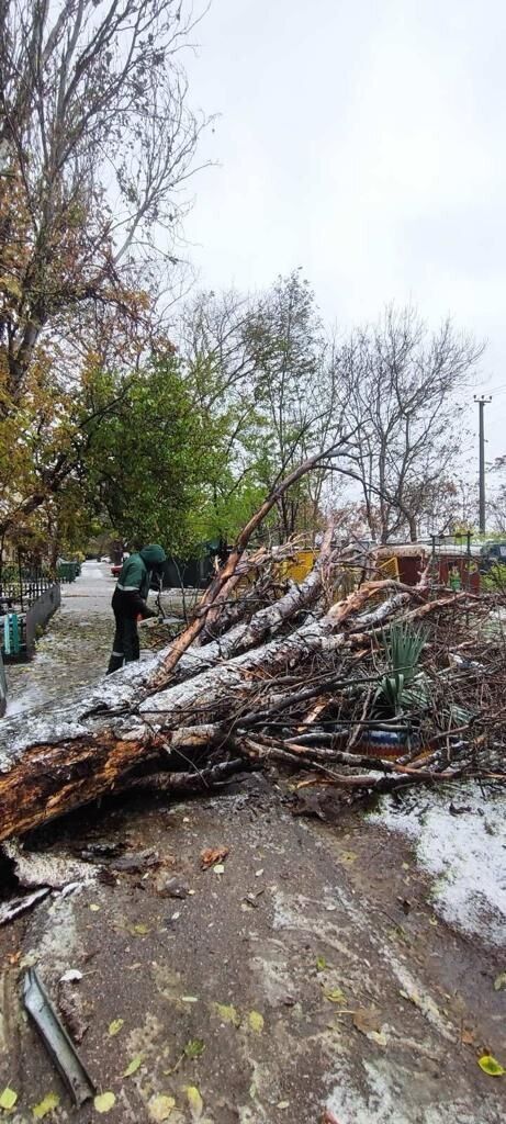 Śnieżna apokalipsa w regionie Odessy: Autostrada Odessa-Reni zablokowana, drogi i ulice w chaosie