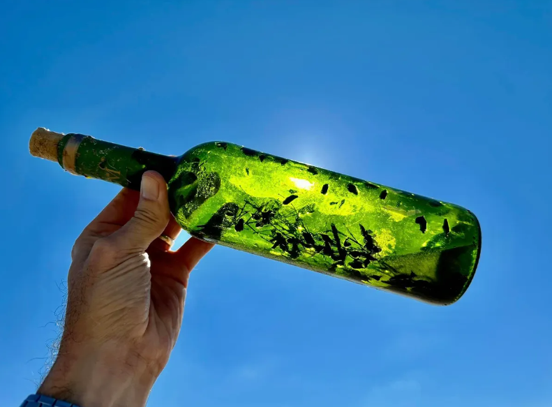 Must not be opened: ''witch's bottles'' are massively washing ashore in the United States