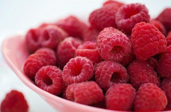 Fresh raspberries