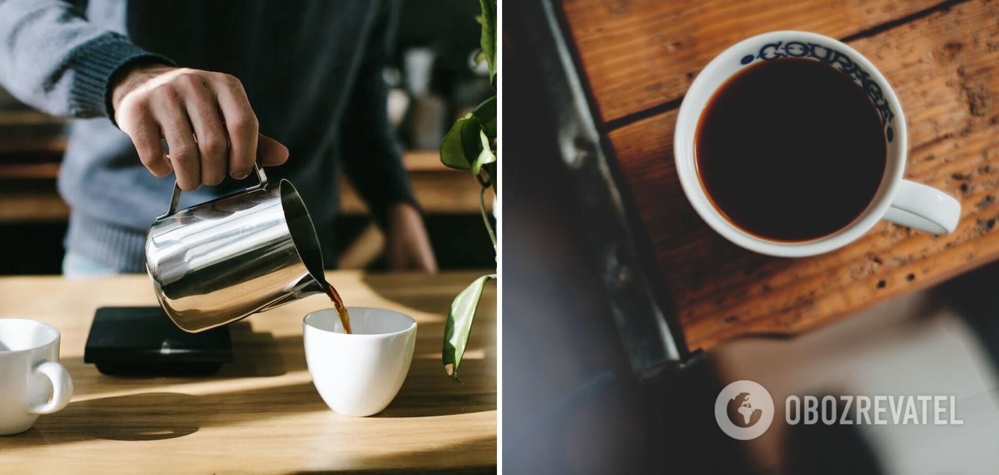 Which coffee is stronger - Arabica or Robusta: what is the difference