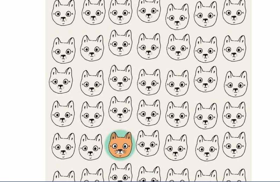 Find the peculiar cat: a puzzle for people with a high IQ