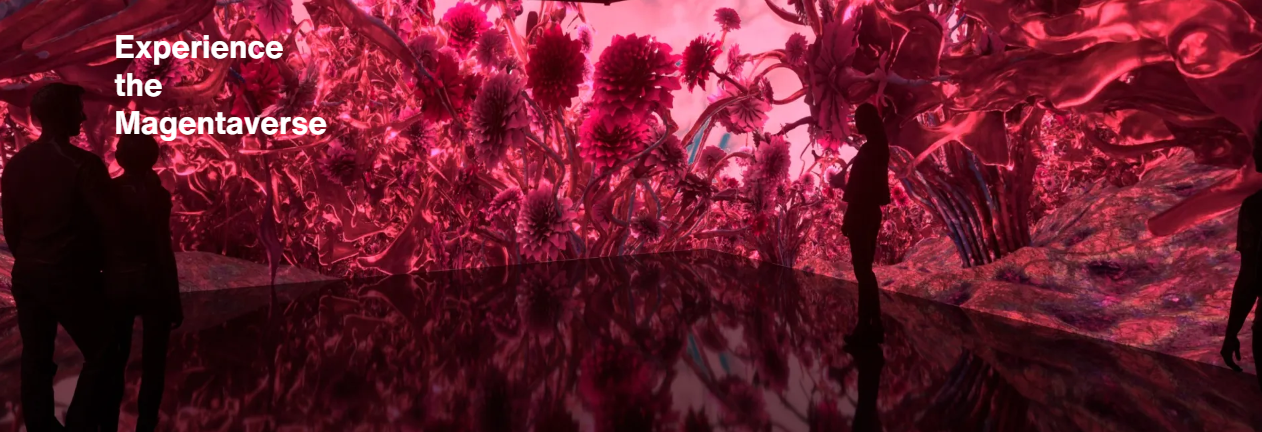 Pantone wybrał główny kolor roku 2023 - Viva Magenta