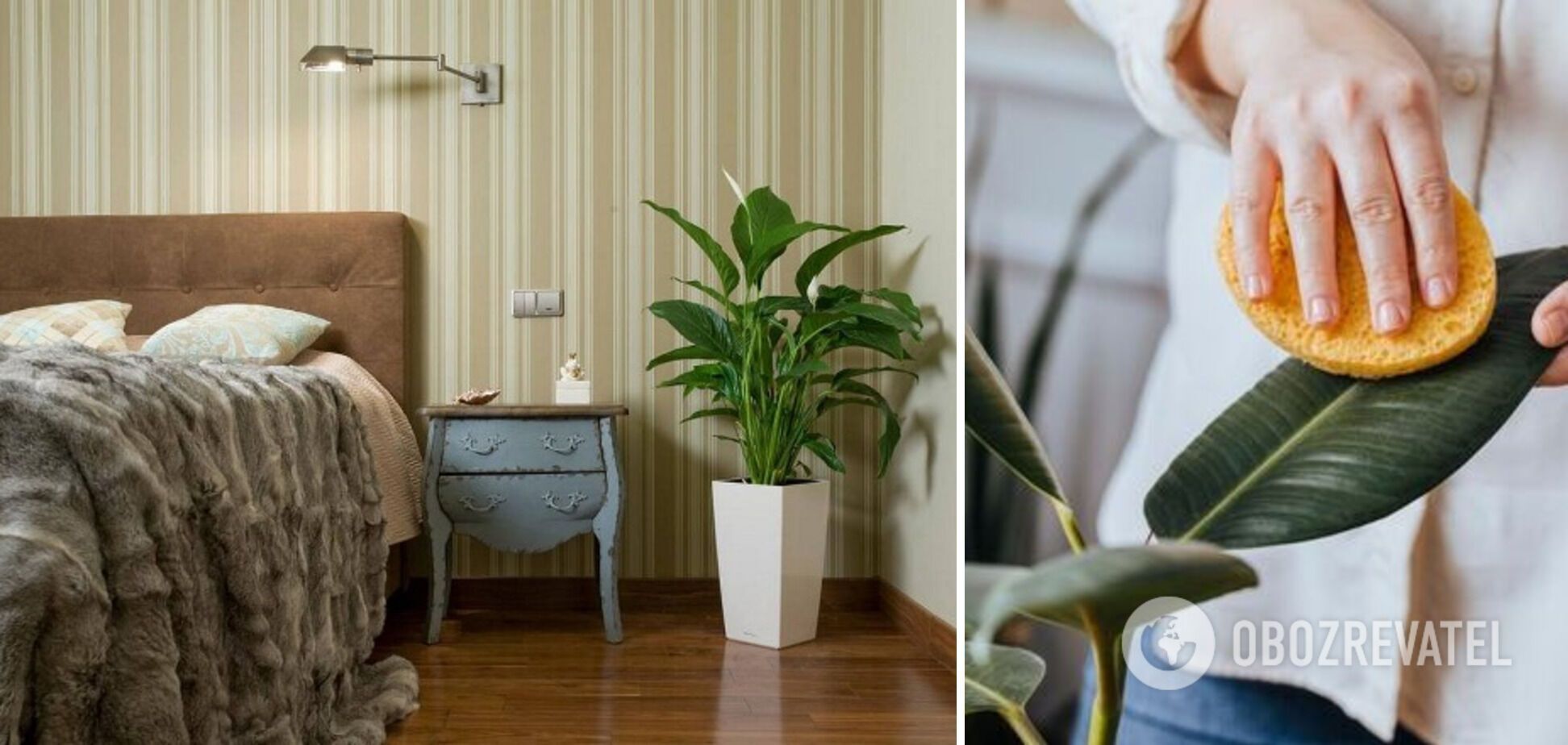 Artificial plants are easy to clean