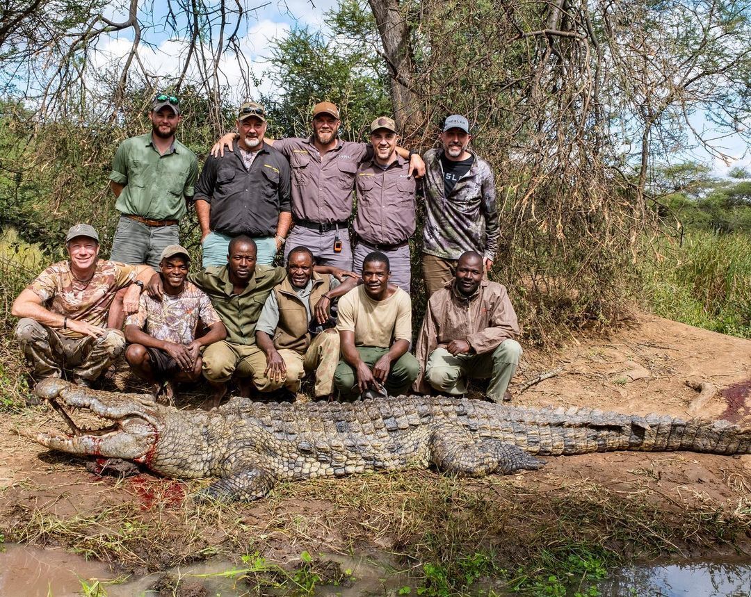 A giant crocodile was caught from a lake in Zimbabwe: what the ''man-eating dinosaur'' 4.5 meters long looks like