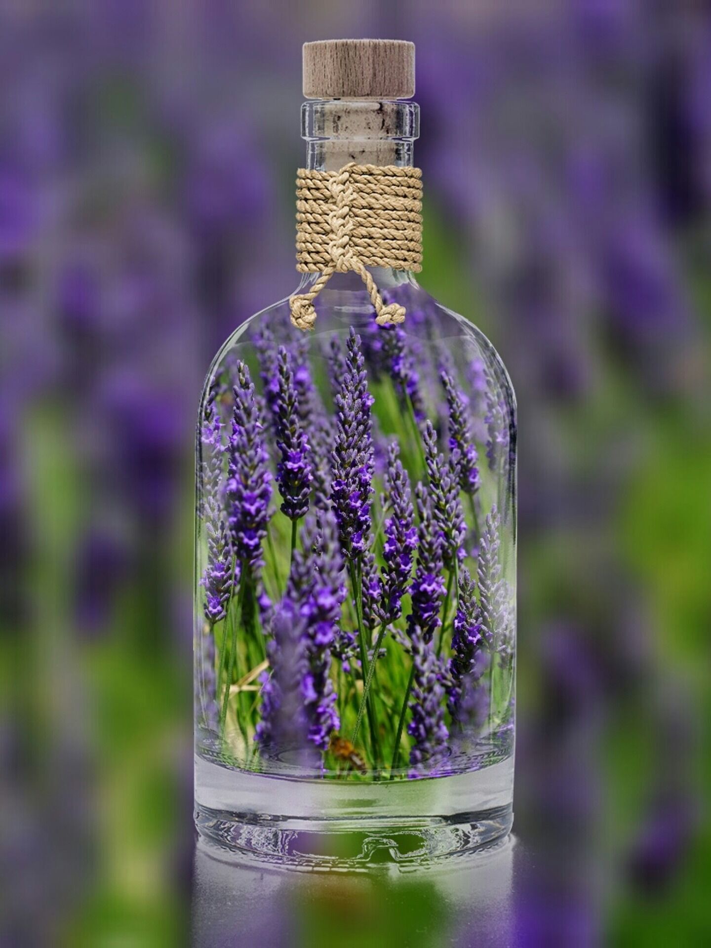 Lavender reduces heart rate and blood pressure