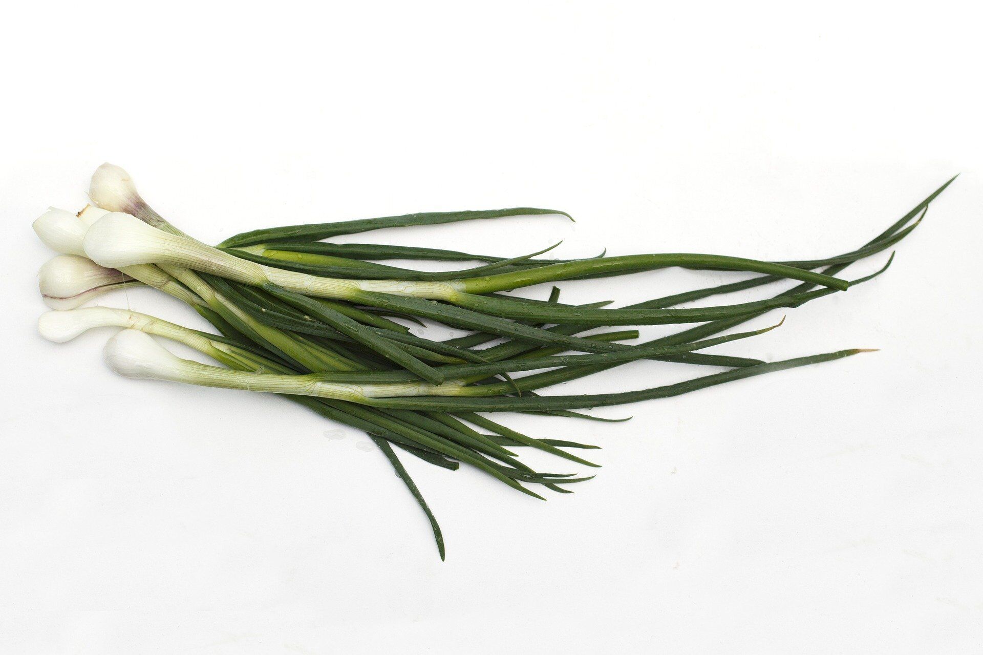 Green onions prevent Alzheimer's disease and dementia