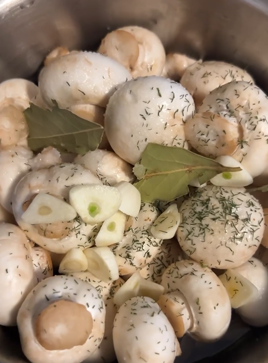 Quick pickled champignons: can be eaten immediately after cooling