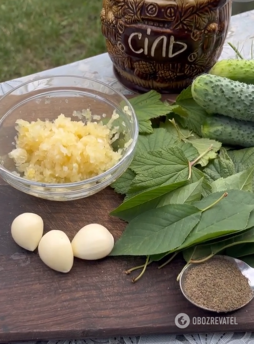 Ingredients for cooking cucumbers