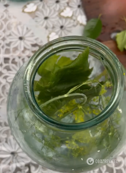 Putting dill inflorescence and leaves in a jar