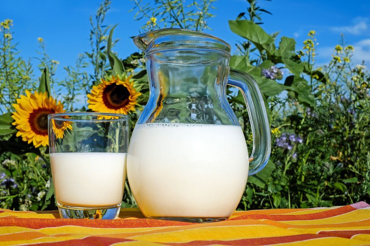 Why it is forbidden to drink raw milk