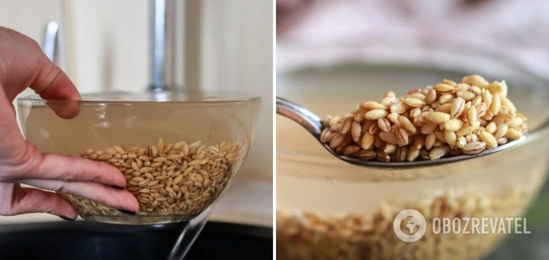 How to cook pearl barley correctly and for how long