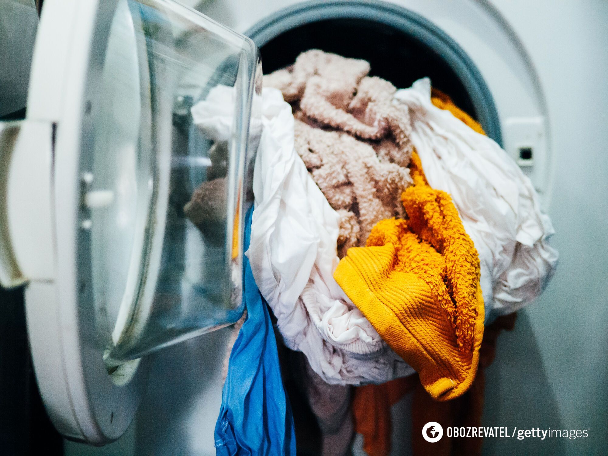 Specialist named things that should not be washed in the washing machine