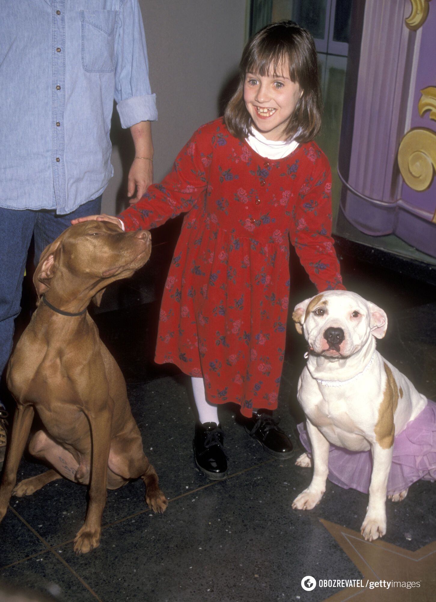 How Mrs. Doubtfire star Mara Wilson, who lost her mother at an early age and was constantly told she was ''fat and ugly,'' has changed in 30 years