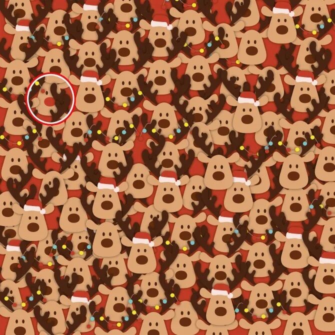 Find the festive reindeer: a tricky Christmas puzzle 