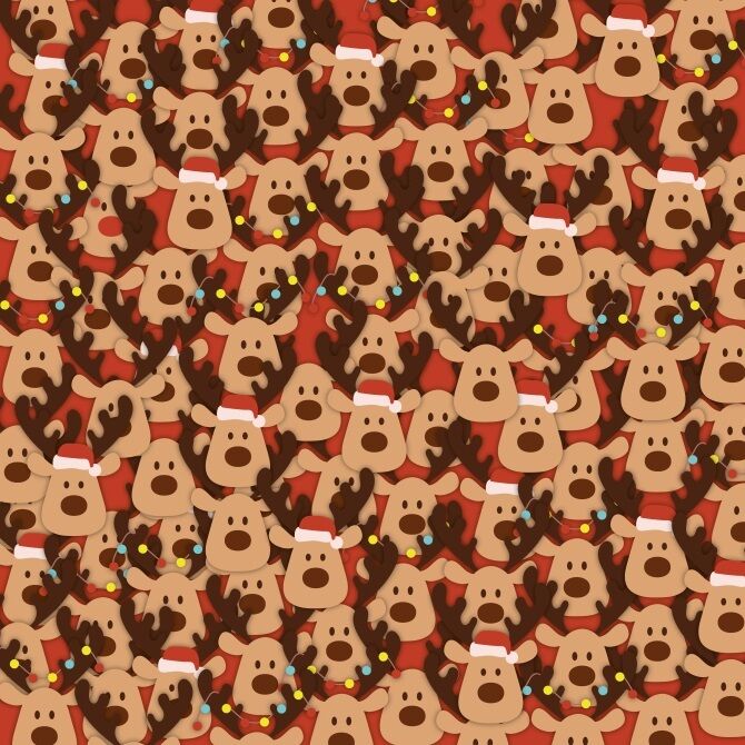 Find the festive reindeer: a tricky Christmas puzzle 