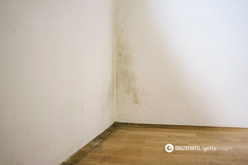 Mold has a negative impact on health