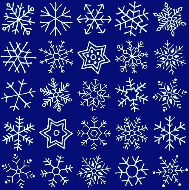 Holiday puzzle: only the most attentive will find identical snowflakes in 30 seconds