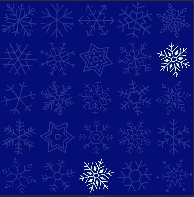 Holiday puzzle: only the most attentive will find identical snowflakes in 30 seconds