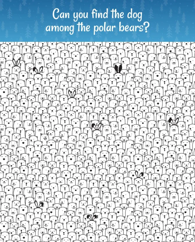Among all these bears, try to find the only dog