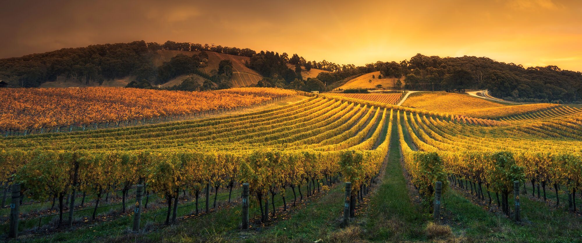The best European wine regions are named
