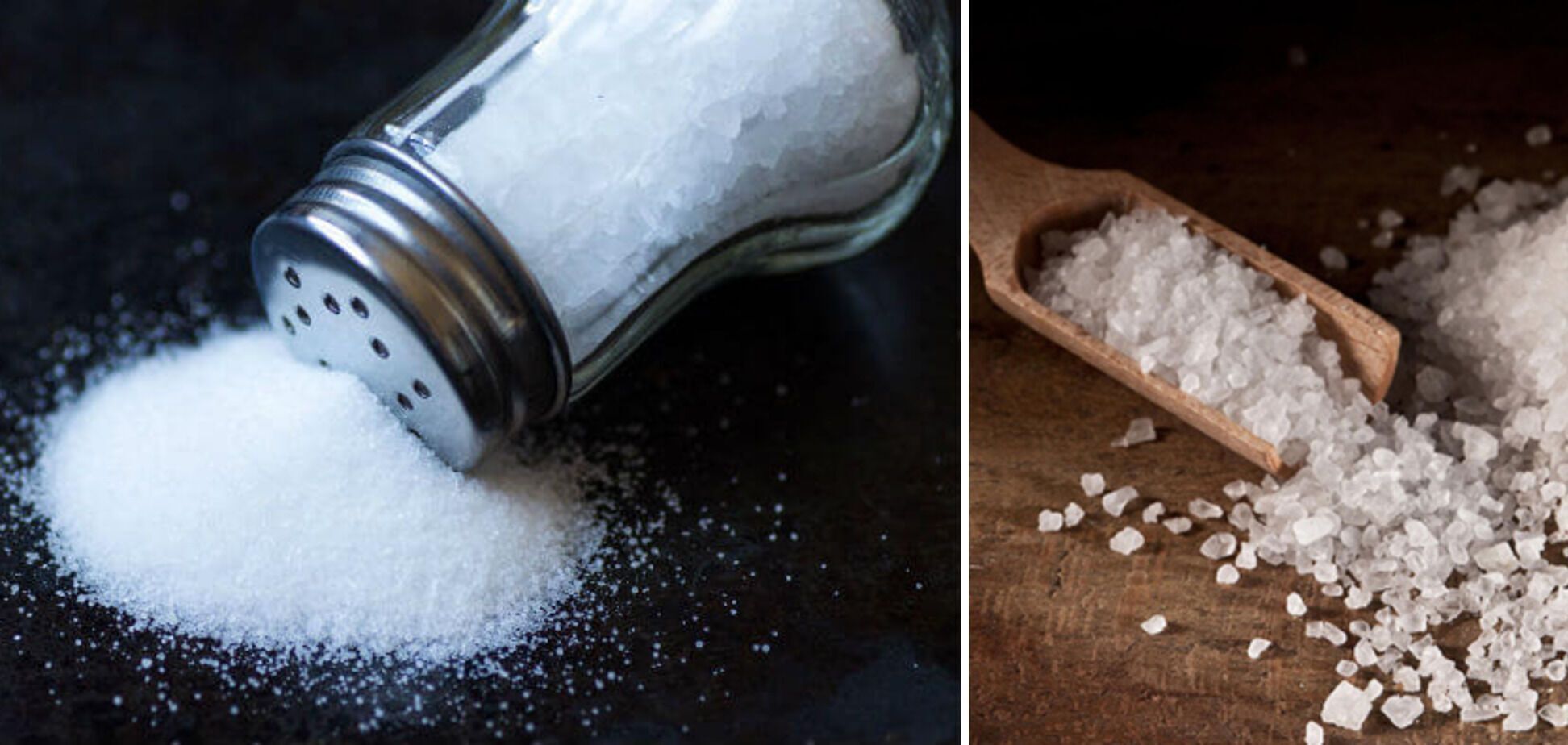 How harmful salt is: an addictive product