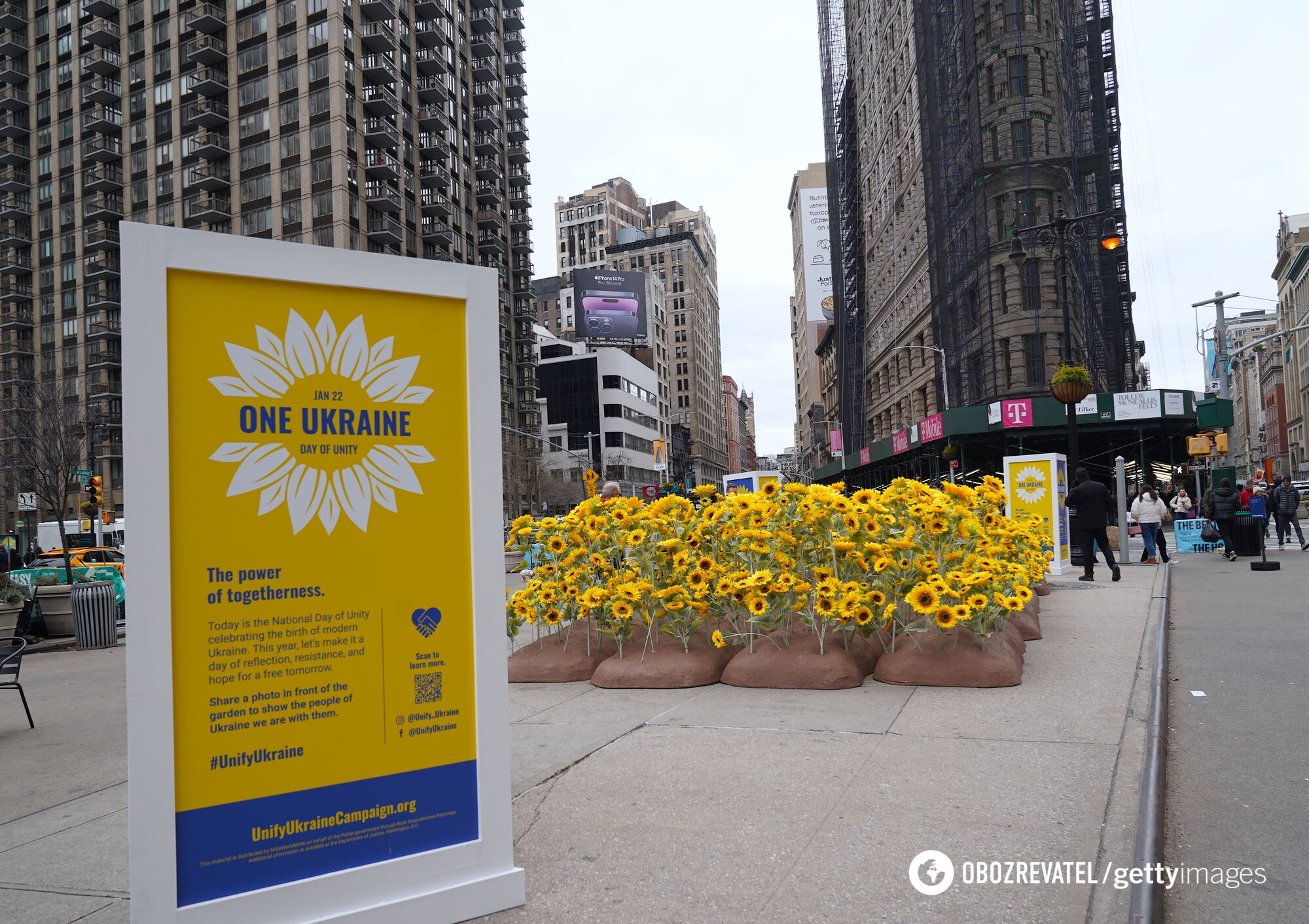 An installation with 333 sunflowers was installed in the heart of New York on the occasion of Ukraine's Sobornosti Day. Photo
