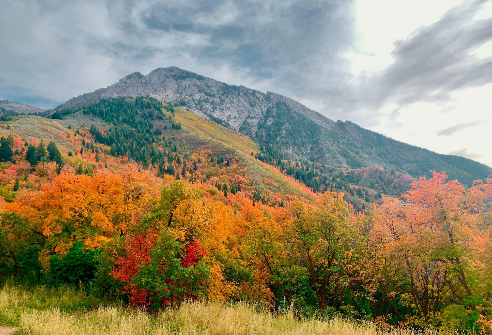 Top 5 most beautiful parks in Europe: you have to see them