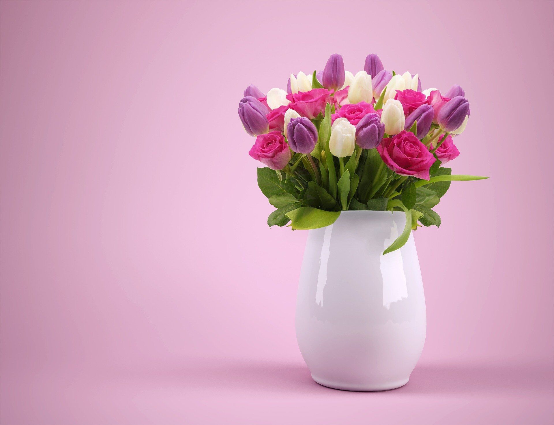 Tulips cause vomiting and hypersalivation